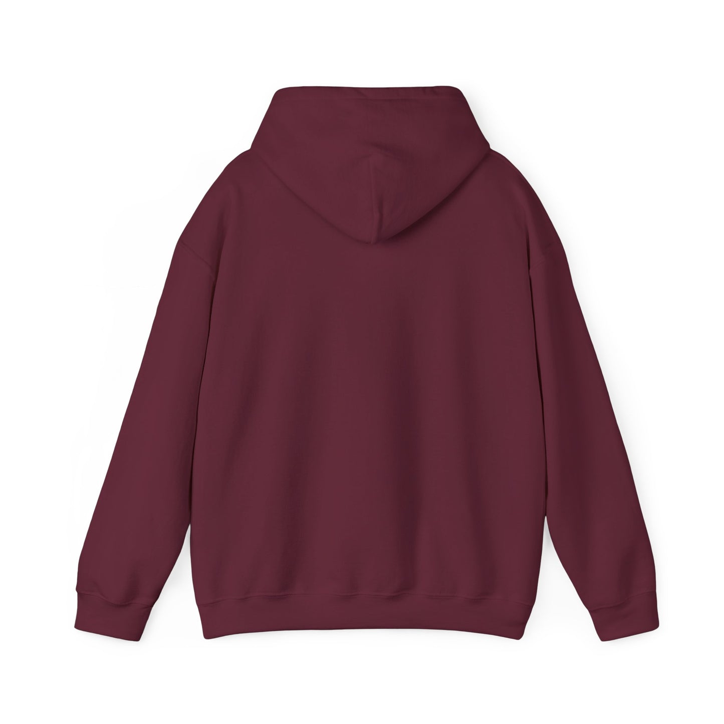 Starry Nights Camping Hoodie — "No City Lights" Outdoor Camping Pullover