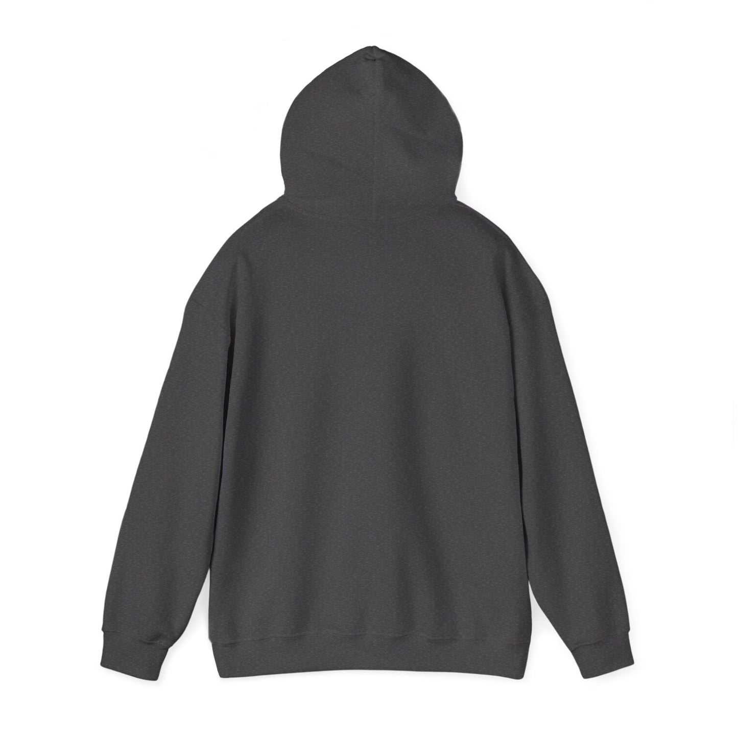 Starry Nights Camping Hoodie — "No City Lights" Outdoor Camping Pullover