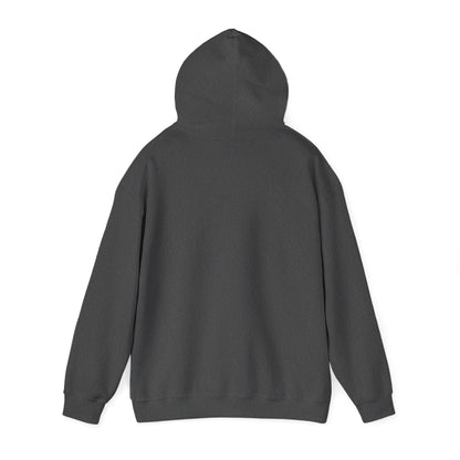 Starry Nights Camping Hoodie — "No City Lights" Outdoor Camping Pullover