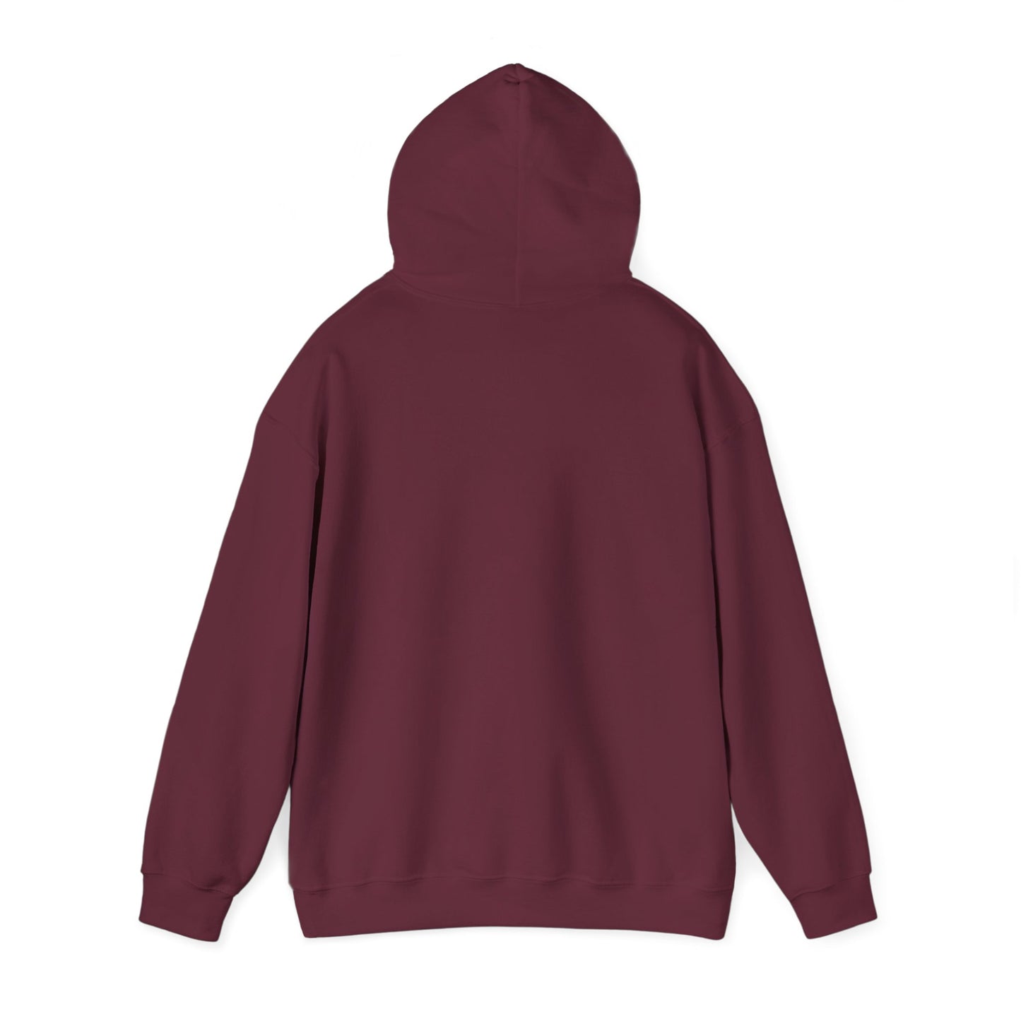 Starry Nights Camping Hoodie — "No City Lights" Outdoor Camping Pullover