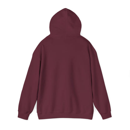 Starry Nights Camping Hoodie — "No City Lights" Outdoor Camping Pullover