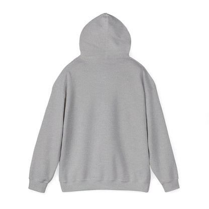 Starry Nights Camping Hoodie — "No City Lights" Outdoor Camping Pullover
