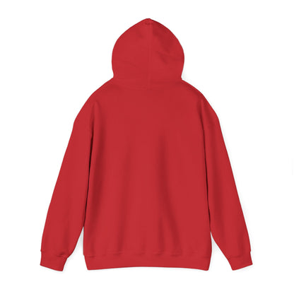 Starry Nights Camping Hoodie — "No City Lights" Outdoor Camping Pullover