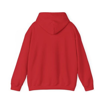 Starry Nights Camping Hoodie — "No City Lights" Outdoor Camping Pullover