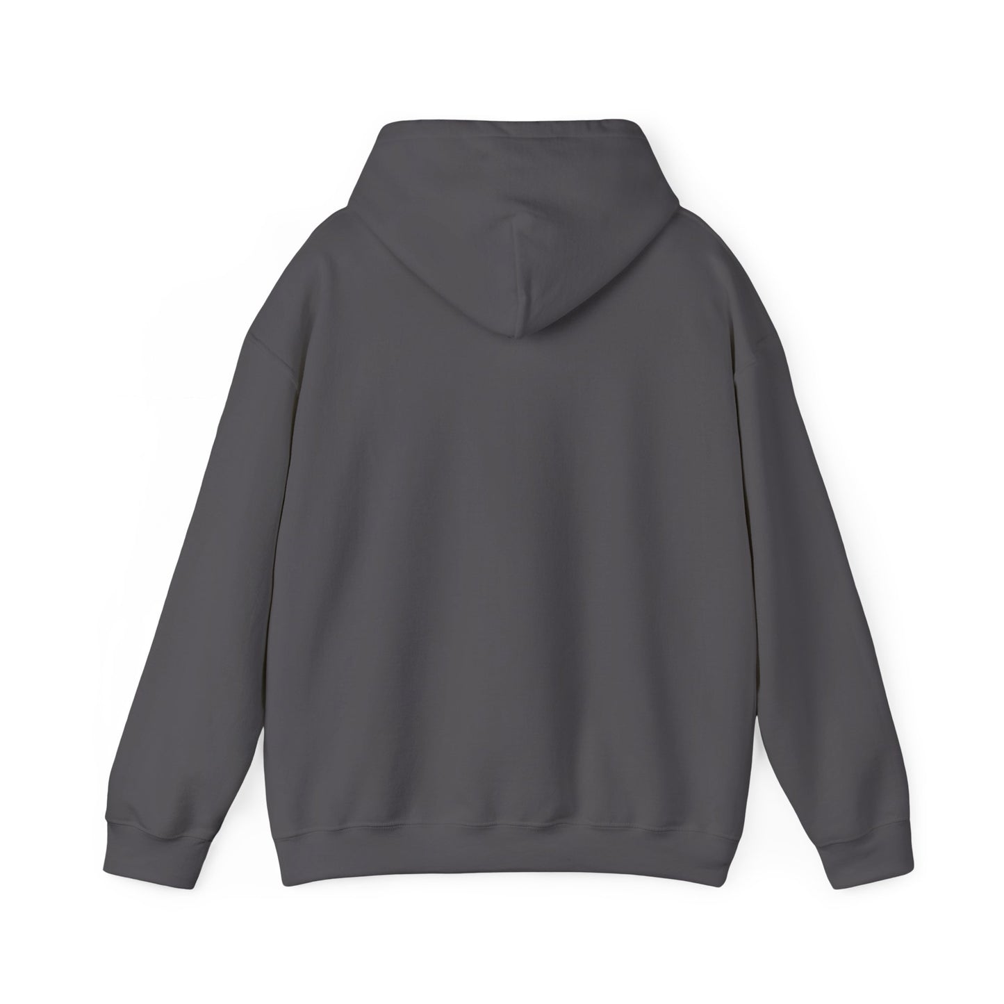 Starry Nights Camping Hoodie — "No City Lights" Outdoor Camping Pullover