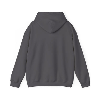 Starry Nights Camping Hoodie — "No City Lights" Outdoor Camping Pullover