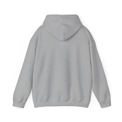 Starry Nights Camping Hoodie — "No City Lights" Outdoor Camping Pullover