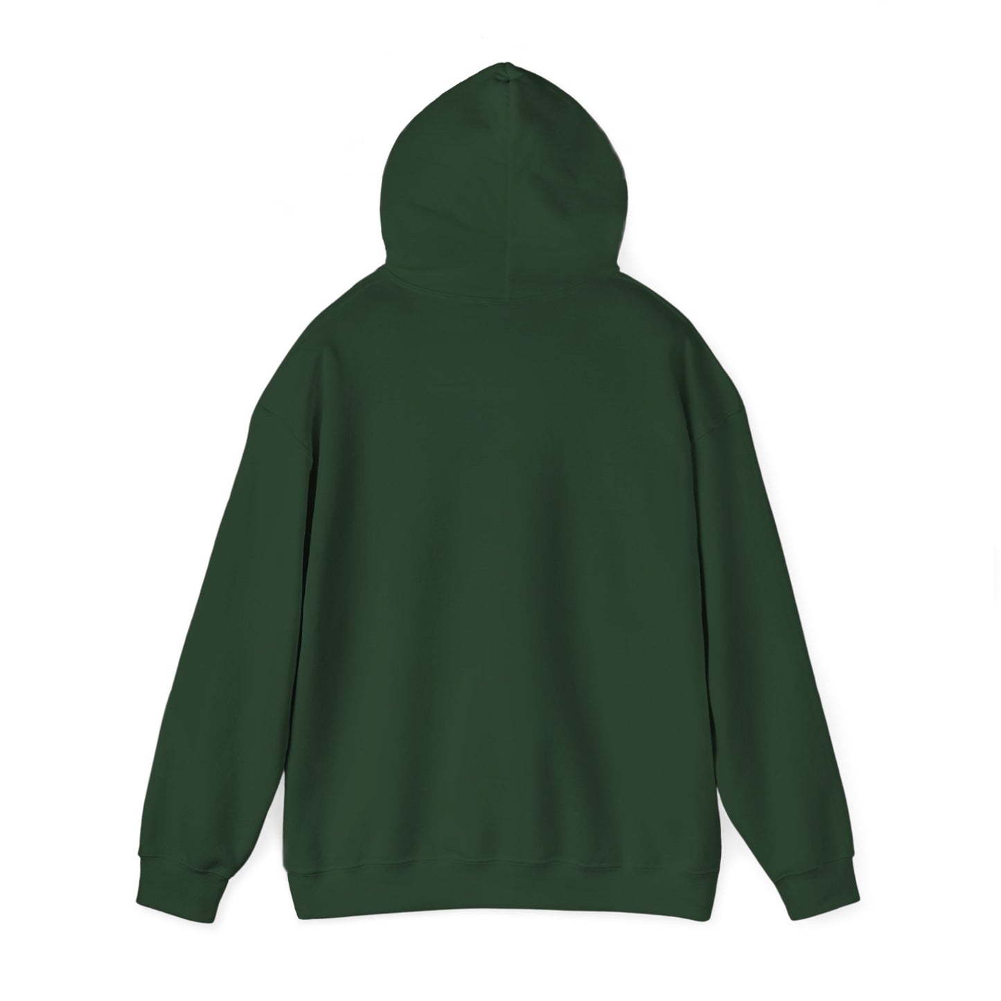 Starry Nights Camping Hoodie — "No City Lights" Outdoor Camping Pullover