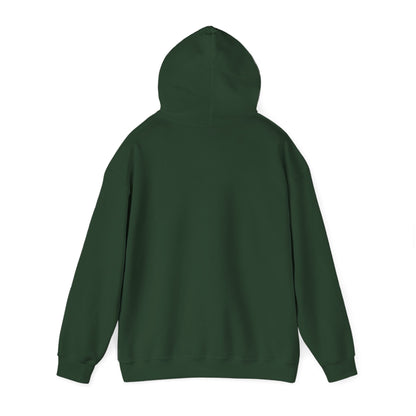 Starry Nights Camping Hoodie — "No City Lights" Outdoor Camping Pullover