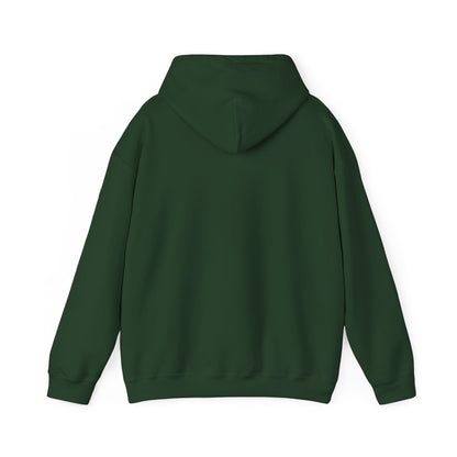 Starry Nights Camping Hoodie — "No City Lights" Outdoor Camping Pullover