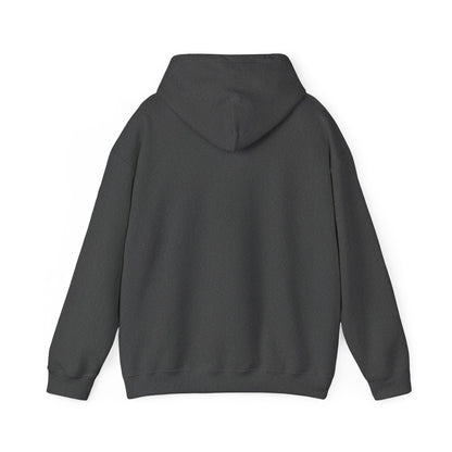 Starry Nights Camping Hoodie — "No City Lights" Outdoor Camping Pullover